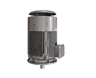 Motore elettrico di alta efficienza ultra IP55, serie YE4 motore asincrono di 3 fasi