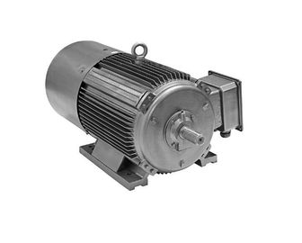 Motore elettrico di alta efficienza ultra IP55, serie YE4 motore asincrono di 3 fasi